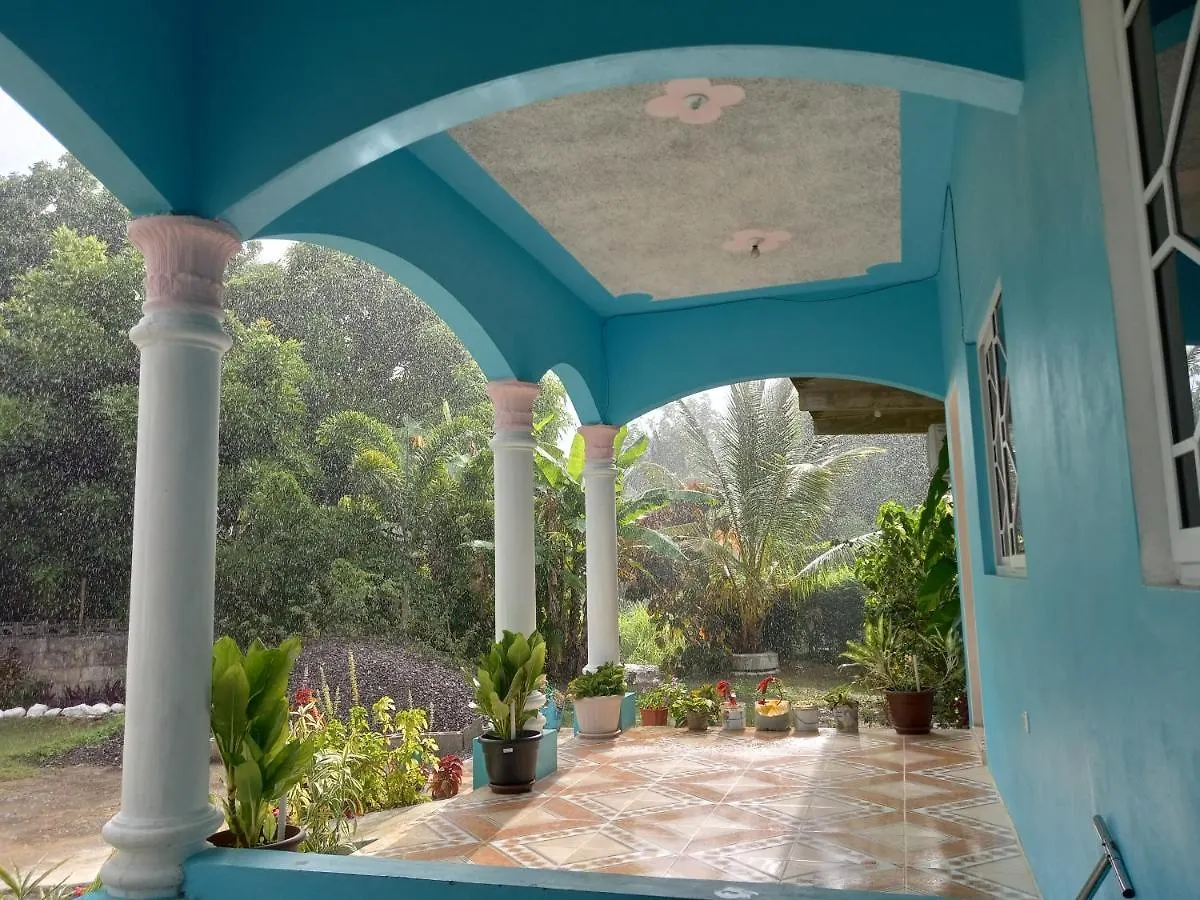 The Gibson'S Palace Ocho Rios