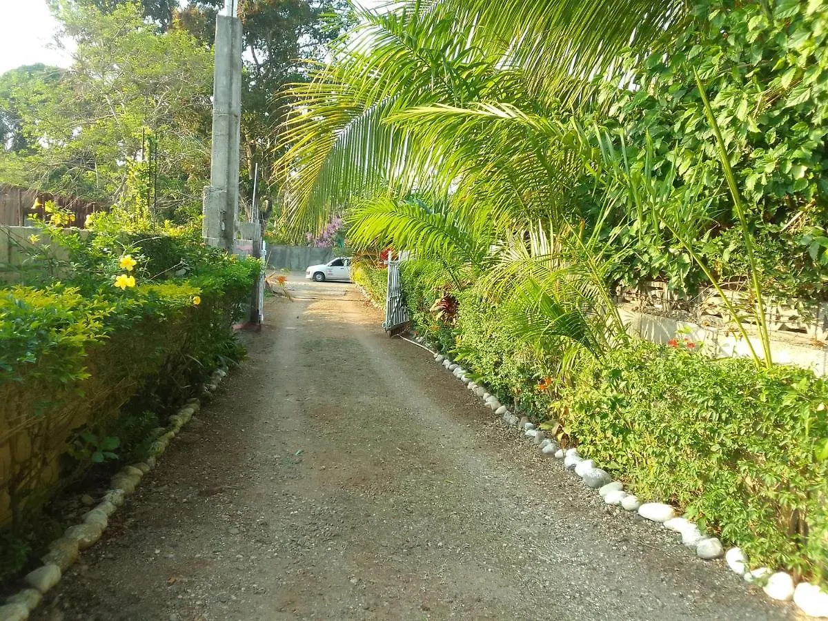 The Gibson'S Palace Ocho Rios Apartamento