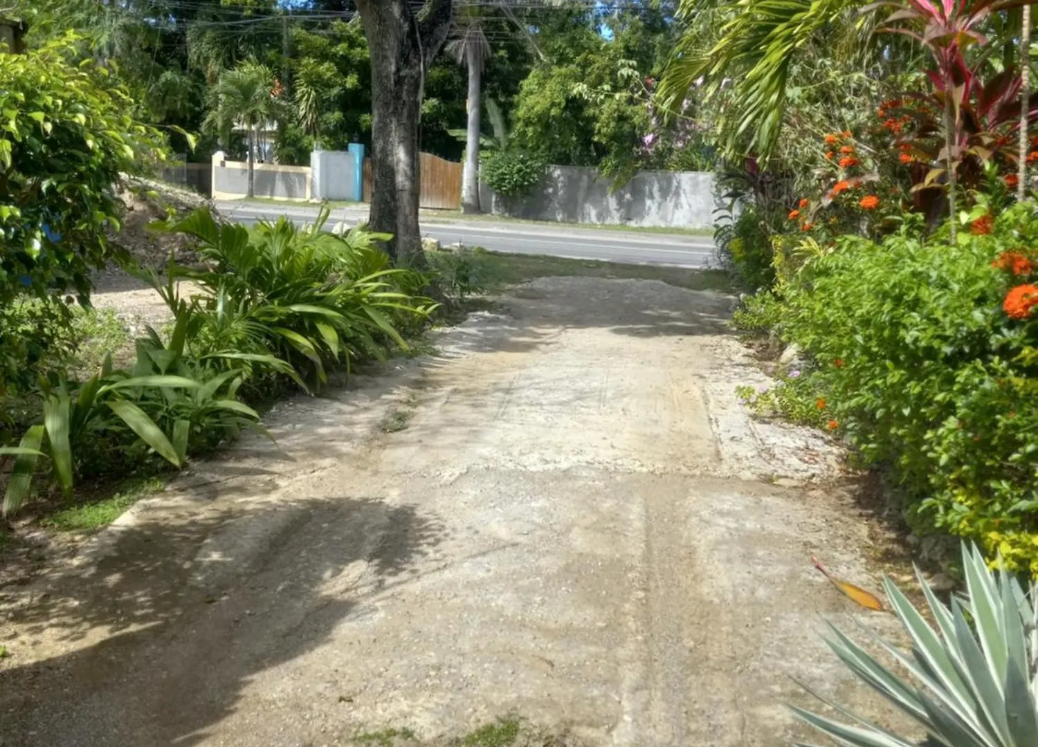 Apartamento The Gibson'S Palace Ocho Rios